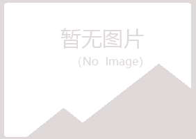 鸡西麻山海安服务有限公司